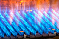Blakedown gas fired boilers
